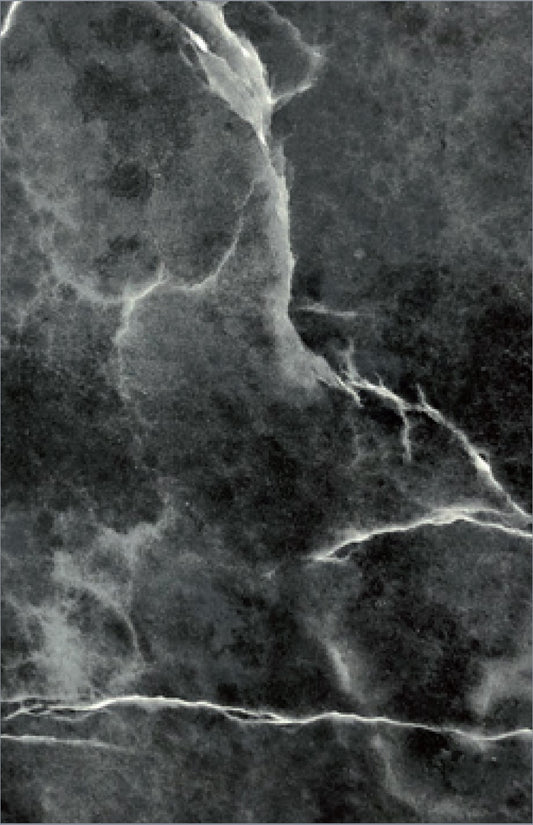 1000mm Blind Corner larder 600 door