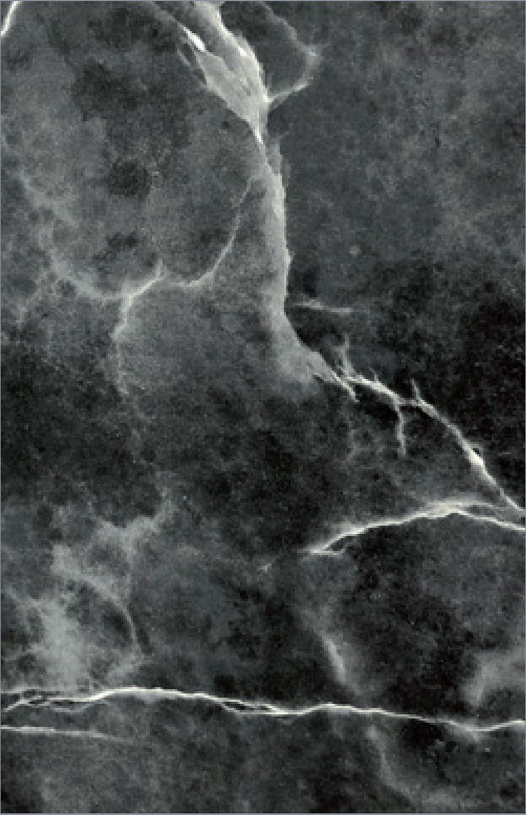 1000mm Blind Corner larder 600 door